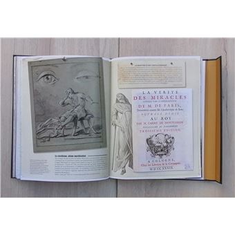 Les grandes énigmes de l'Histoire de France