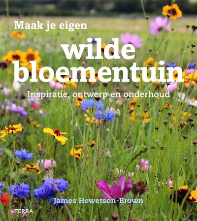 Maak je eigen wilde bloementuin