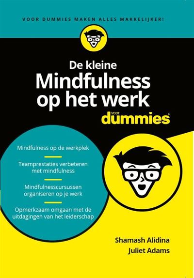 De kleine Mindfulness op het werk voor Dummies