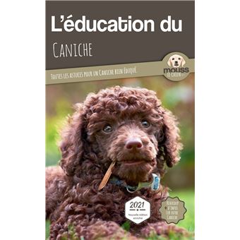 L'éducation du Caniche