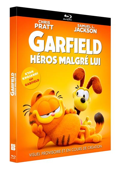 Garfield : Héros malgré lui Blu-ray