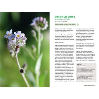 Plantes sauvages médicinales - Les 50 plantes essentielles et leurs usages
