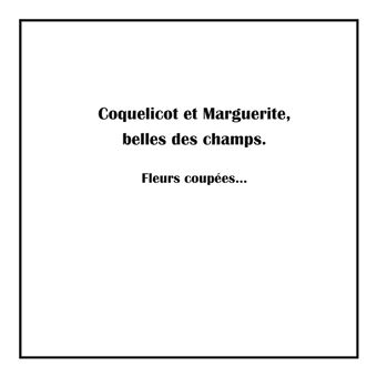 Coquelicot et Marguerite, belles des champs