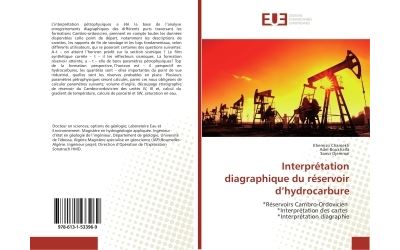 Interpretation diagraphique du reservoir d'hydrocarbure - re