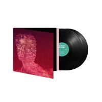 Voices - 2LP 12''