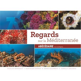 Regards sur la Méditerranée
