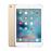 Apple iPad Mini 4 128GB WiFi 7.9" Goud_0