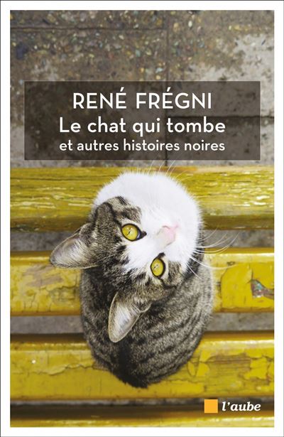 Le chat qui tombe et autres histoires noires - René Frégni - broché