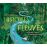 Histoires de fleuves_0