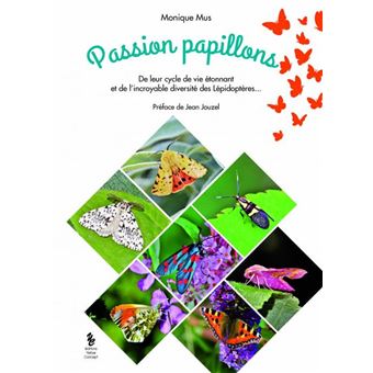 Passion papillons