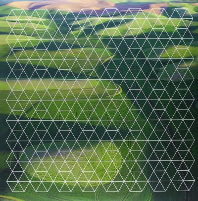 FIELDS/2LP