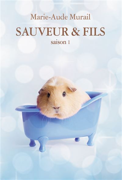 Sauveur & fils saison 1 grand format