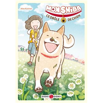Mon Shiba, ce drôle de chien