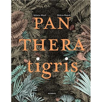 Panthera tigris - cartonné - Sylvain Alzial, Olivier