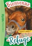 Bienvenue au refuge 03 - Poulain à adopter !
