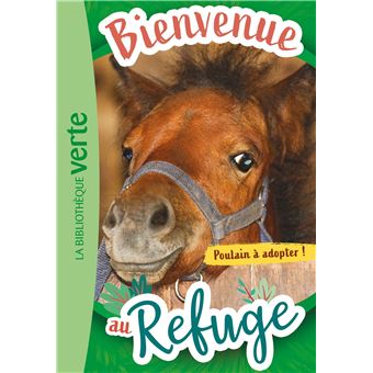 Bienvenue au refuge 03 - Poulain à adopter !