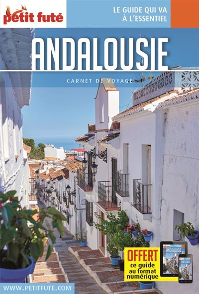 Guide Andalousie 2017 Carnet Petit Futé - Dominique Auzias - broché
