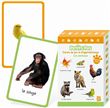 Petits pas - Les animaux