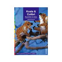 Koala et colibri