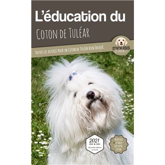 L'éducation du Coton de Tuléar