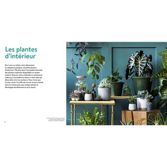 Le Guide du jardin créatif - 850 plantes et idées inspirantes