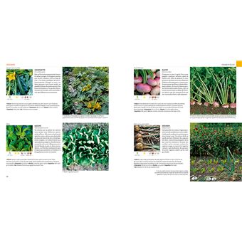 Le Guide du jardin créatif - 850 plantes et idées inspirantes