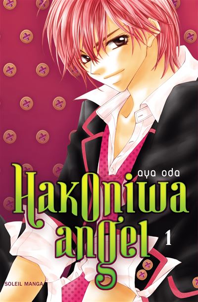 Hakoniwa angel