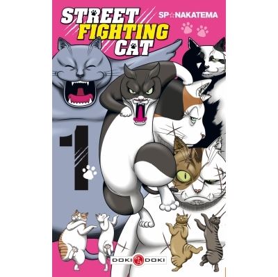 Street fighting cat
