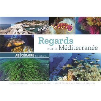Regards sur la Méditerranée