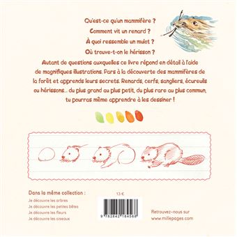 Je découvre les mammifères de la forêt