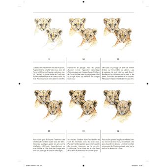 Bébés animaux - 30 espèces menacées à dessiner en pas-à-pas