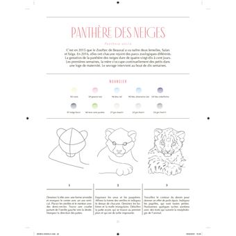 Bébés animaux - 30 espèces menacées à dessiner en pas-à-pas