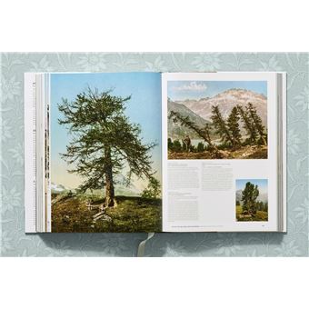 The Alps 1900. A Portrait in Color