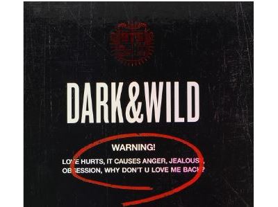 Vol 1 dark and wild