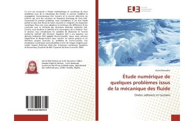 Étude numérique de quelques problEmes issus de la mécanique des fluide