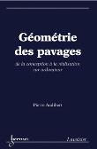 Géométrie des pavages. De la conception à la réalisation sur ordinateur