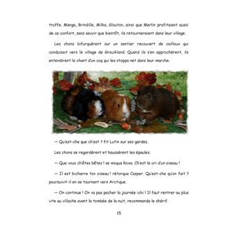 Au pays de Chonland, La guerre des rois