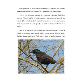 Au pays de Chonland, La guerre des rois