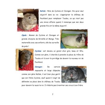 Au pays de Chonland, La guerre des rois