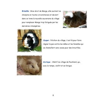 Au pays de Chonland, La guerre des rois