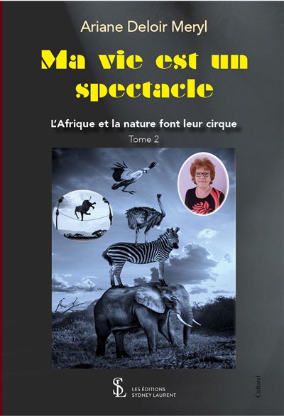Ma vie est un spectacle - Meryl Ariane Deloir - broché