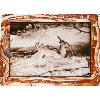 Peter Beard