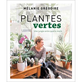 Plantes vertes
