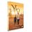 Yao DVD_0