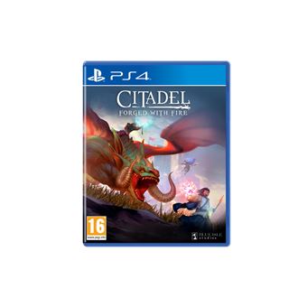 Citadel Found Forged Id