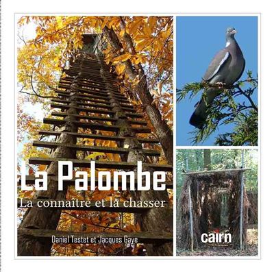 La palombe