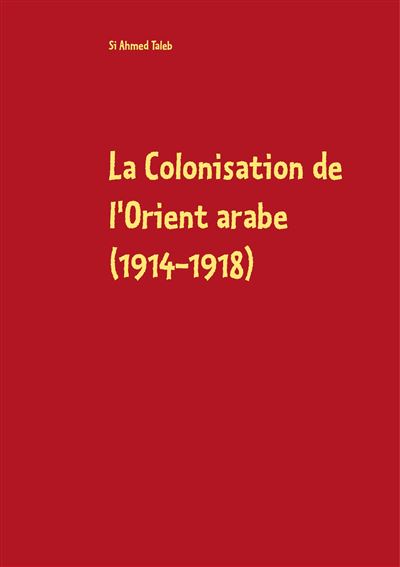 La colonisation de l'Orient arabe 1914-1918