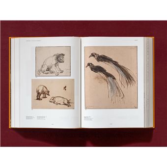 Rembrandt. Tous les dessins et toutes les eaux-fortes
