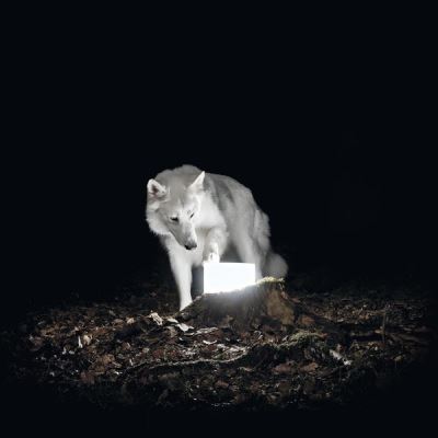 SURVEILLANCE/LP