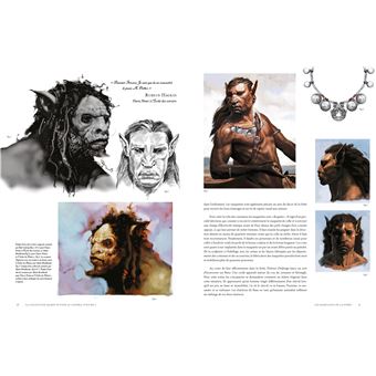 La collection Harry Potter au cinéma, vol.1 : Les Créatures de la forêt, du lac et du ciel